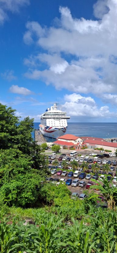 Cruise ship docked near a parking area, surrounded by greenery and blue skies.