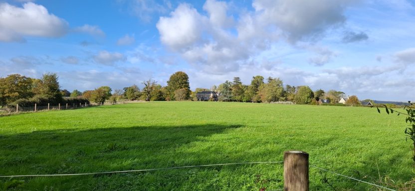 Lush green field under a partly cloudy sky, with trees and distant buildings.