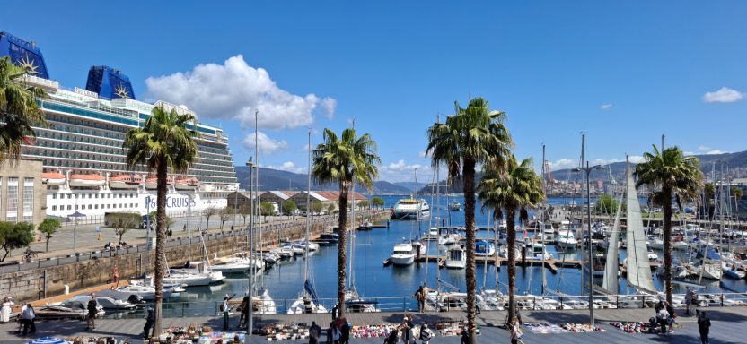 Port view with palm trees, boats in marina, and a cruise ship under a clear blue sky.