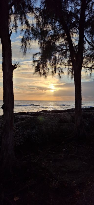 Sun setting over the ocean, framed by trees with a peaceful shoreline.