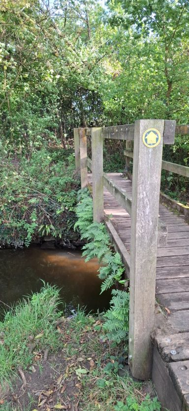 A wooden bridge over a small stream, surrounded by greenery.