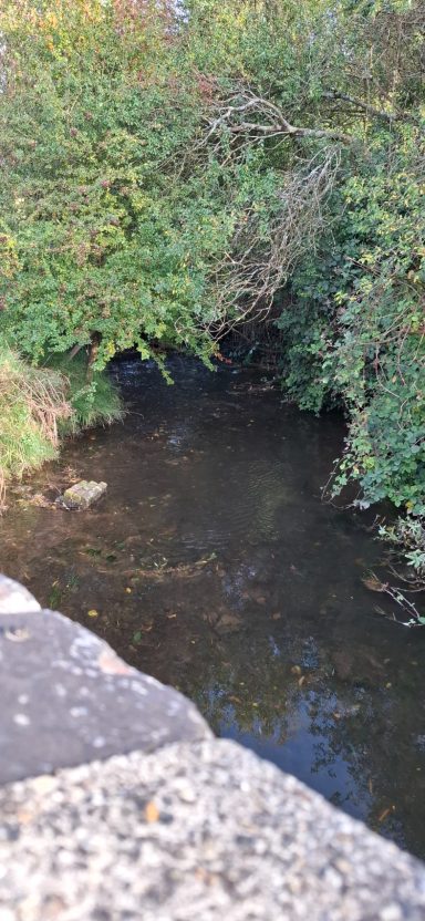 A calm stream bordered by lush greenery and a stone wall.